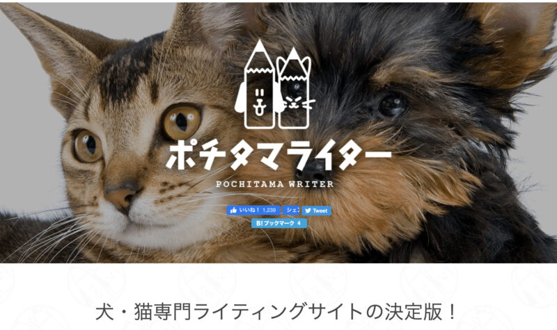 ポチタマライターの評判は 犬猫好きで副業をしたい方必見のサービス 文字単価跳ね上げよう 瀬戸内海の田舎からライターで稼ぐ